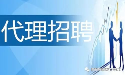 武都招聘网最新招聘动态深度解读报告