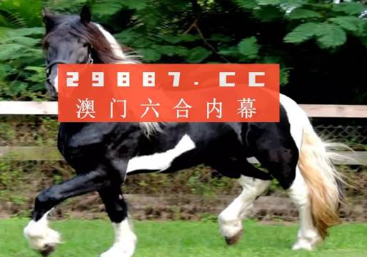 澳门今晚必开一肖一特,广泛的关注解释落实热议_Superior63.867