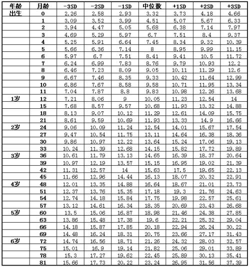 2024年12月4日 第5页