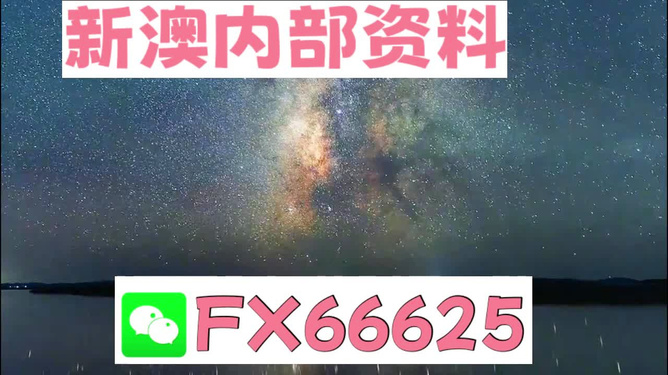 2024新澳天天彩免费资料大全查询,高效解析说明_顶级版23.671