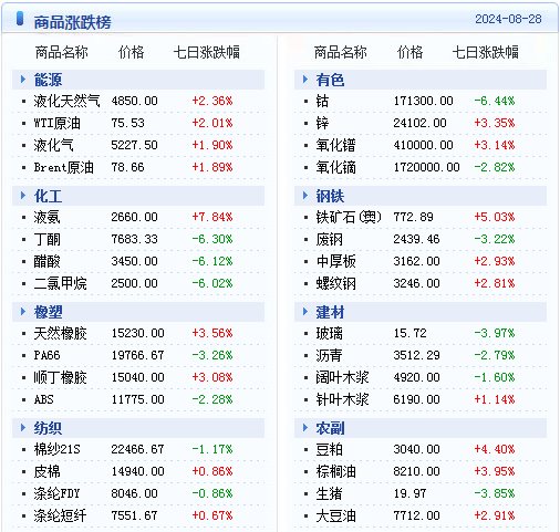 2024年新奥天天精准资料大全,实地说明解析_限定版73.202