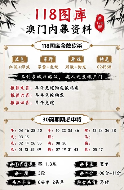 2024新奥资料免费49图库,创新执行设计解析_精装版38.911