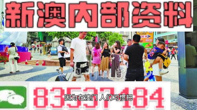 2024新澳精准资料免费提供下载,诠释解析落实_优选版74.483