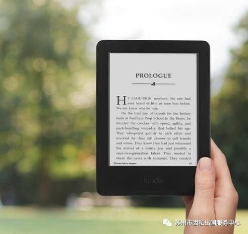 新澳天天彩正版免费资料观看,数据驱动执行方案_Kindle87.680