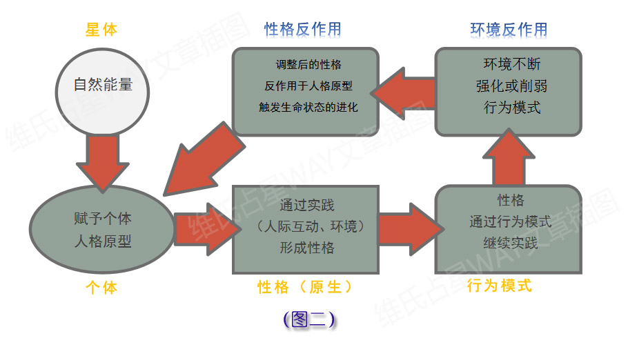 2024新澳今晚资料免费,完善的执行机制分析_Holo55.957