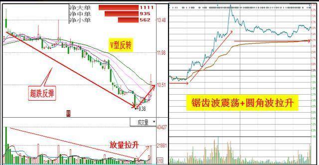 格林美最新停牌消息，深度解析影响及未来展望