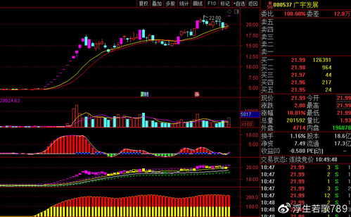 广宇发展股吧最新消息深度解析，股市动态与前景展望