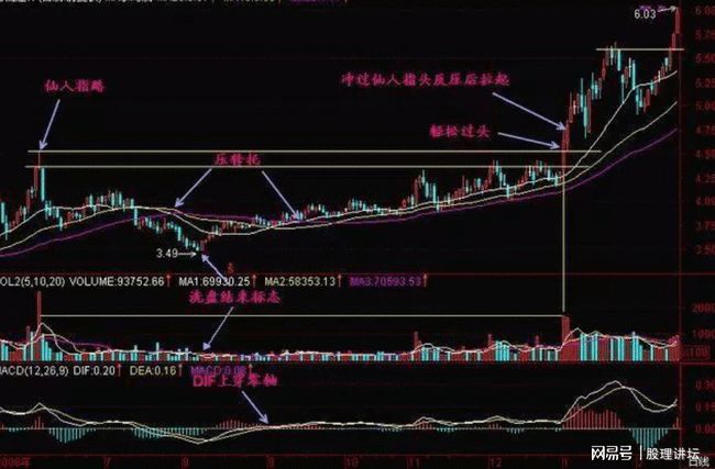 股票最新动态与市场脉搏同步更新