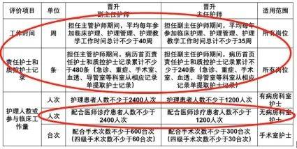 最新护士津贴补助规定，重塑医疗领域的关怀与支持体系