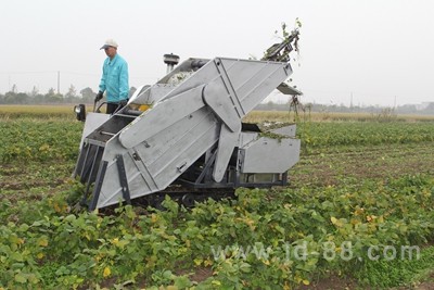 最新型毛豆收获机技术革新及实际应用概述