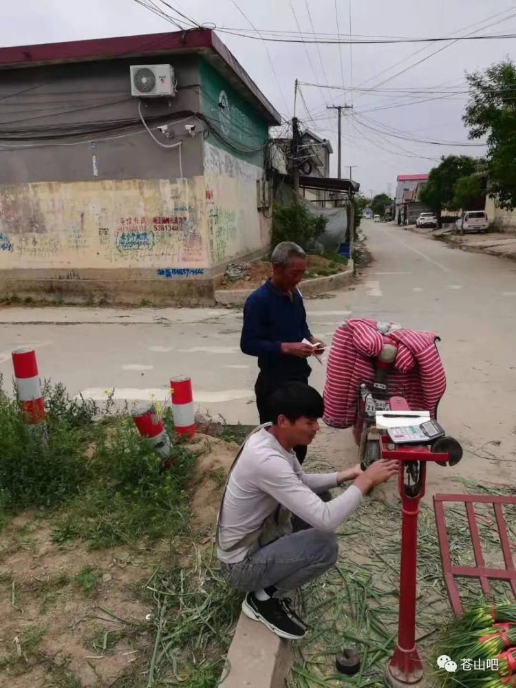 宝鸡石鼓山盗墓案，历史遗产保护与犯罪行为的较量揭秘