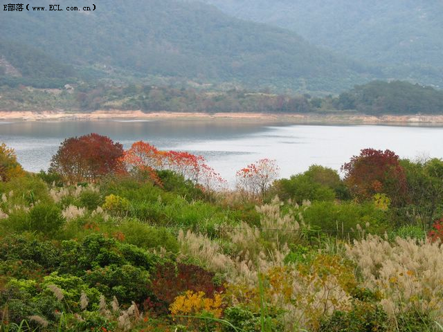 重庆酉阳坂溪水库最新,重庆酉阳坂溪水库最新概况