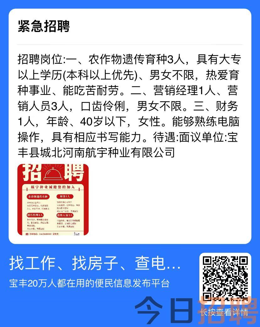 孟津招聘网最新招聘信息解析与招聘动态速递