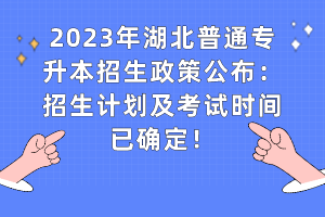 解析2023年专升本最新政策及其影响，政策解读与影响分析。