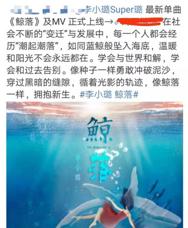 李小璐最新视频深度解析与观察，揭秘背后的故事