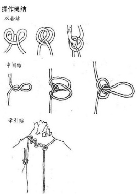 结绳最新版，传统智慧的数字化呈现与应用探索