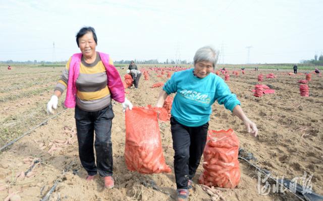 牛家庄，历史底蕴与现代风采的交融胜地